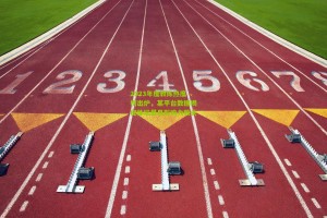 2023年度教练热度榜出炉，某平台数据揭秘体坛最具影响力教头