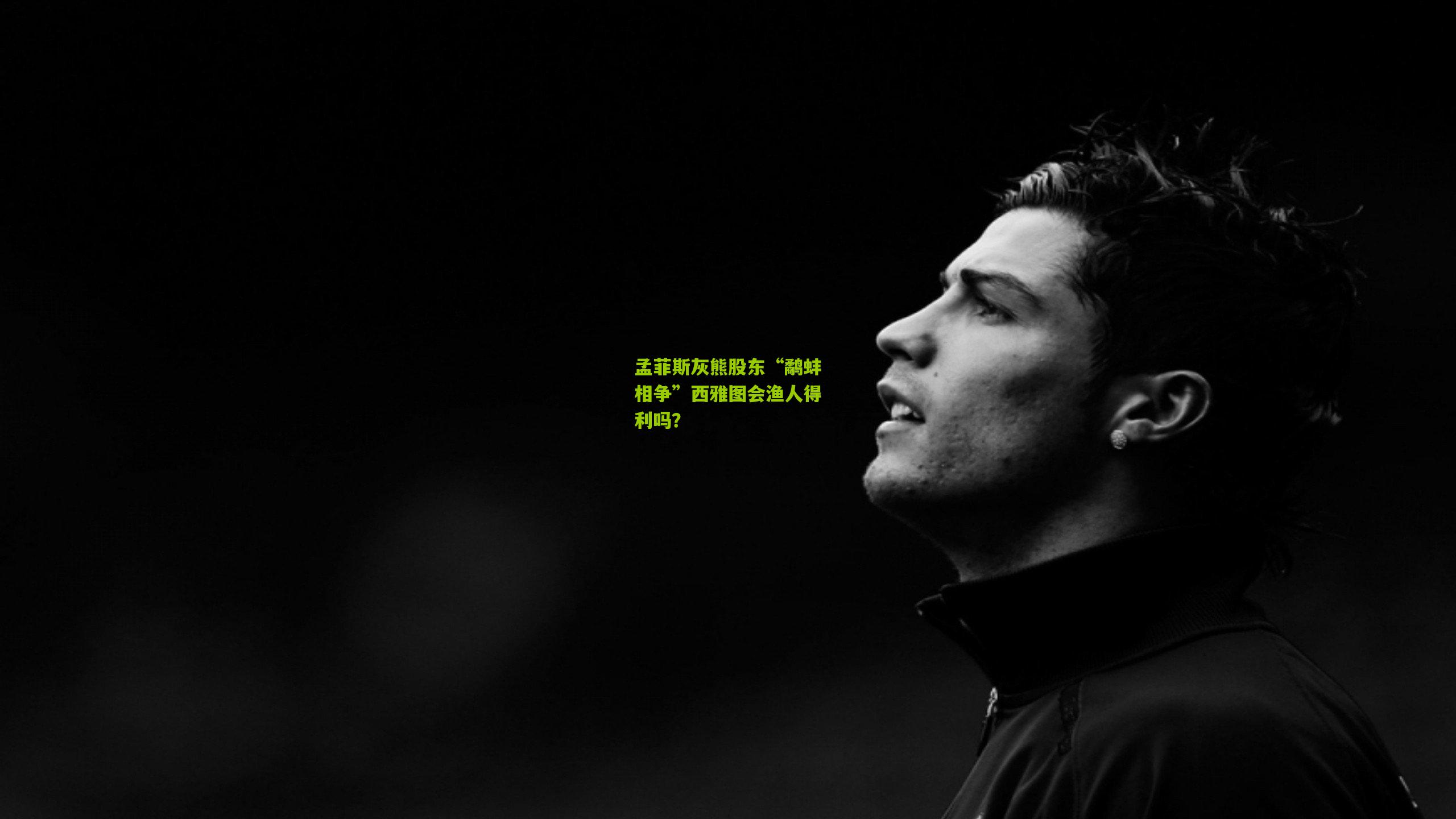 孟菲斯灰熊股东“鹬蚌相争”西雅图会渔人得利吗？