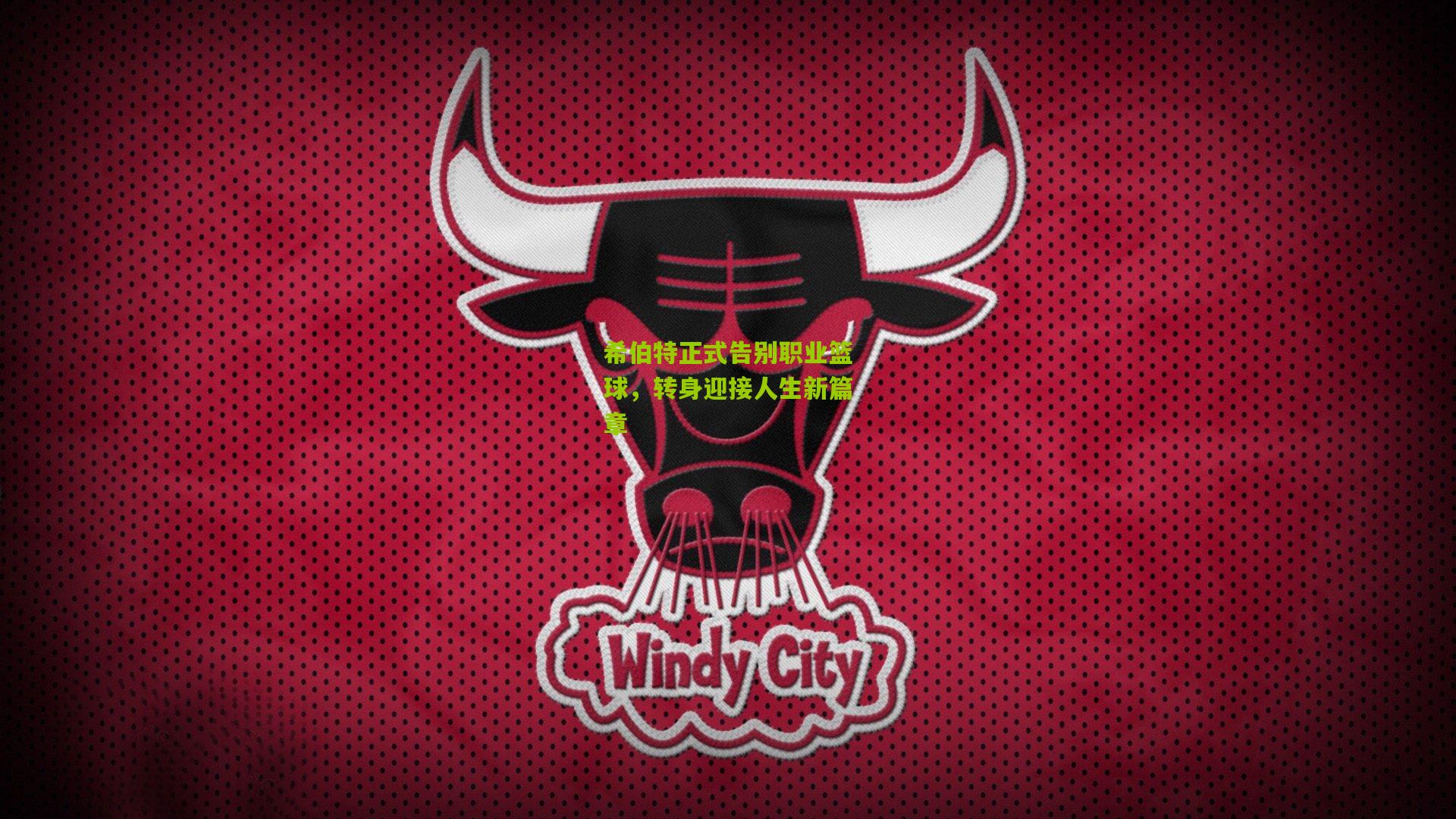 希伯特正式告别职业篮球，转身迎接人生新篇章